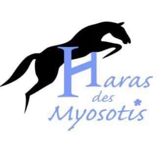 Haras des Myosotis
